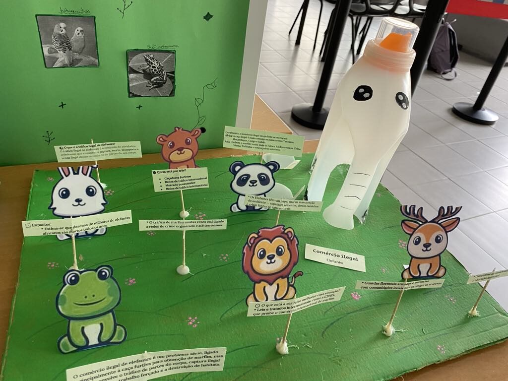 Exposição Eco-Escolas na EBVV