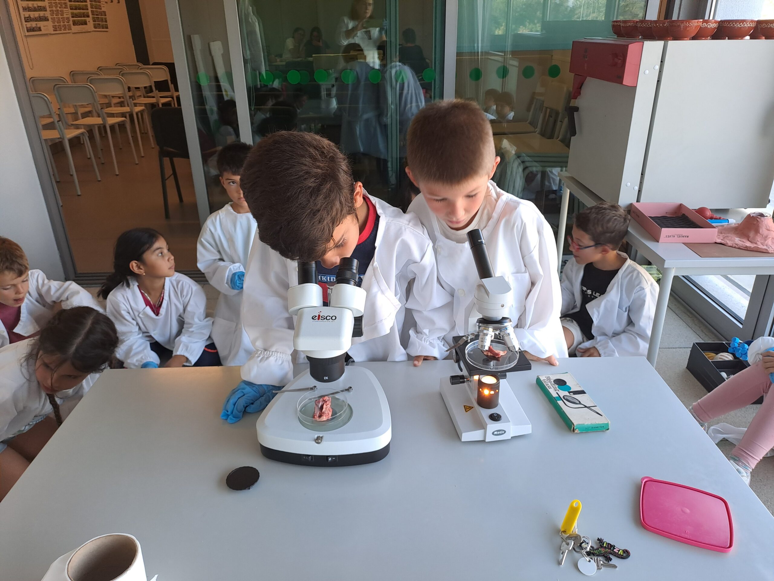 Alunos do 2.º ano da EB n.º 2 de Vila Verde realizam aprendizagens essenciais sobre o corpo humano