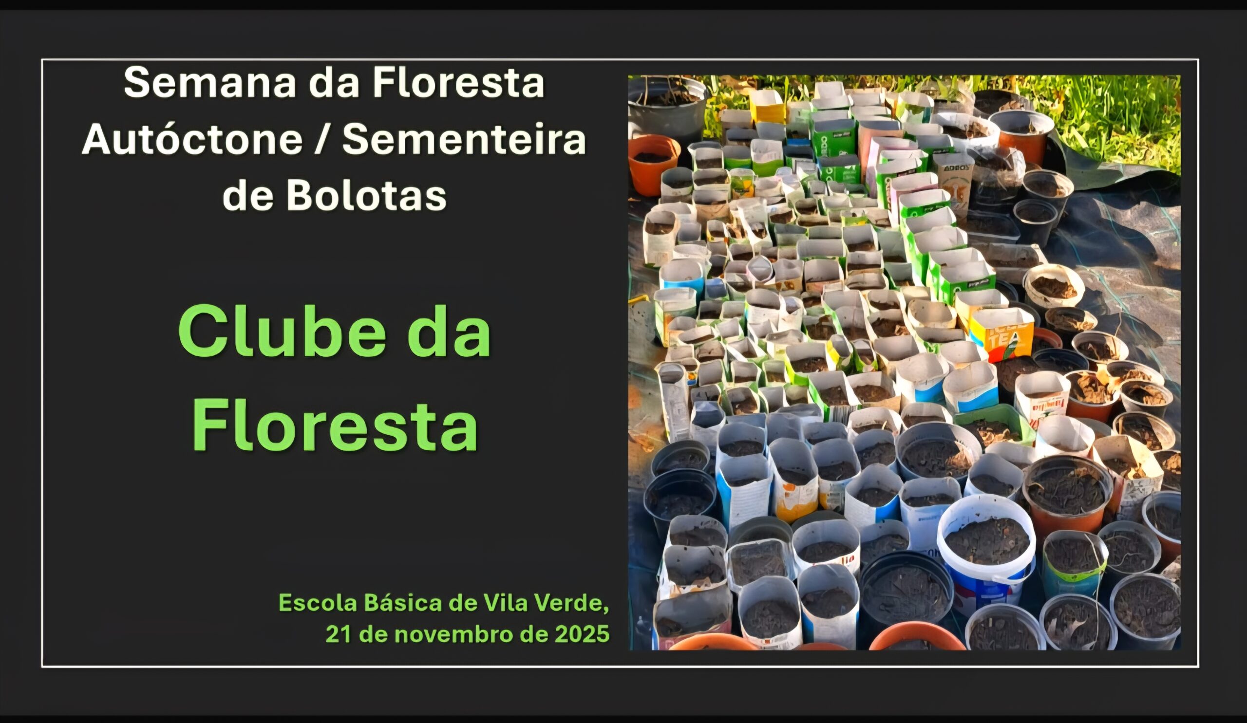 Semana da Floresta Autóctone
