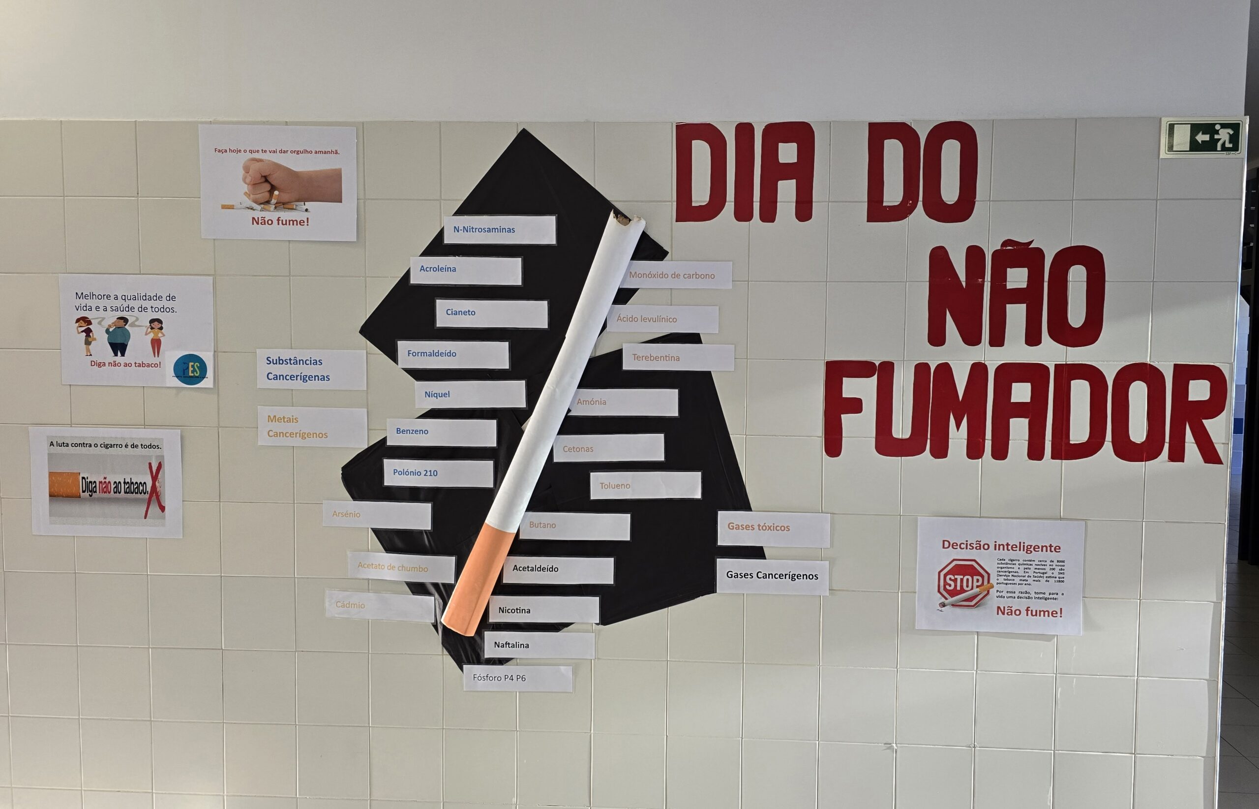 Dia Mundial sem Tabaco – alunos e professores unem-se pela saúde!